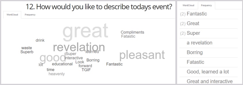 Example of open question, with wordcloud and frequency reporting